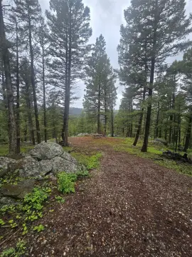 Picture of Hunting land at 60 Snowberry Lane, Drummond, MT