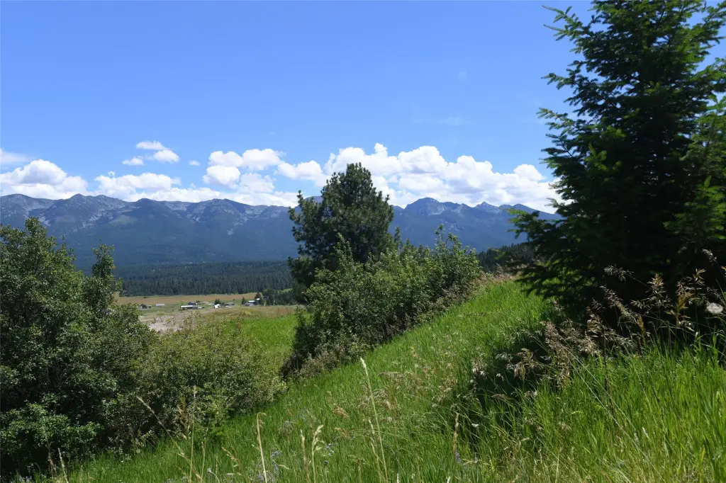 Picture 27