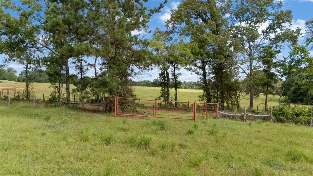 Picture 29