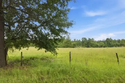 Picture of Agricultural land / Farmland at 115355 & 115353 CR 2501, Alto, TX