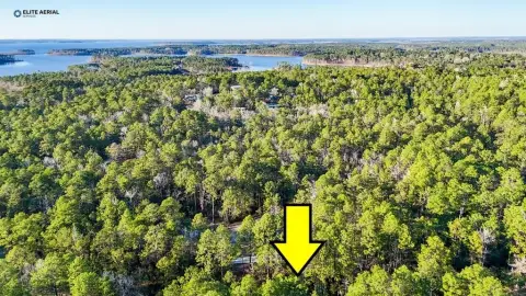 Picture of Residential land & home lots at 206 Tupelo Drive, Brookeland, TX