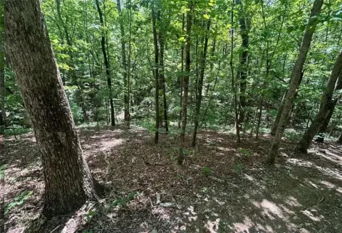 Picture of Residential land & home lots at Fouts Mill Rd, Douglasville, GA