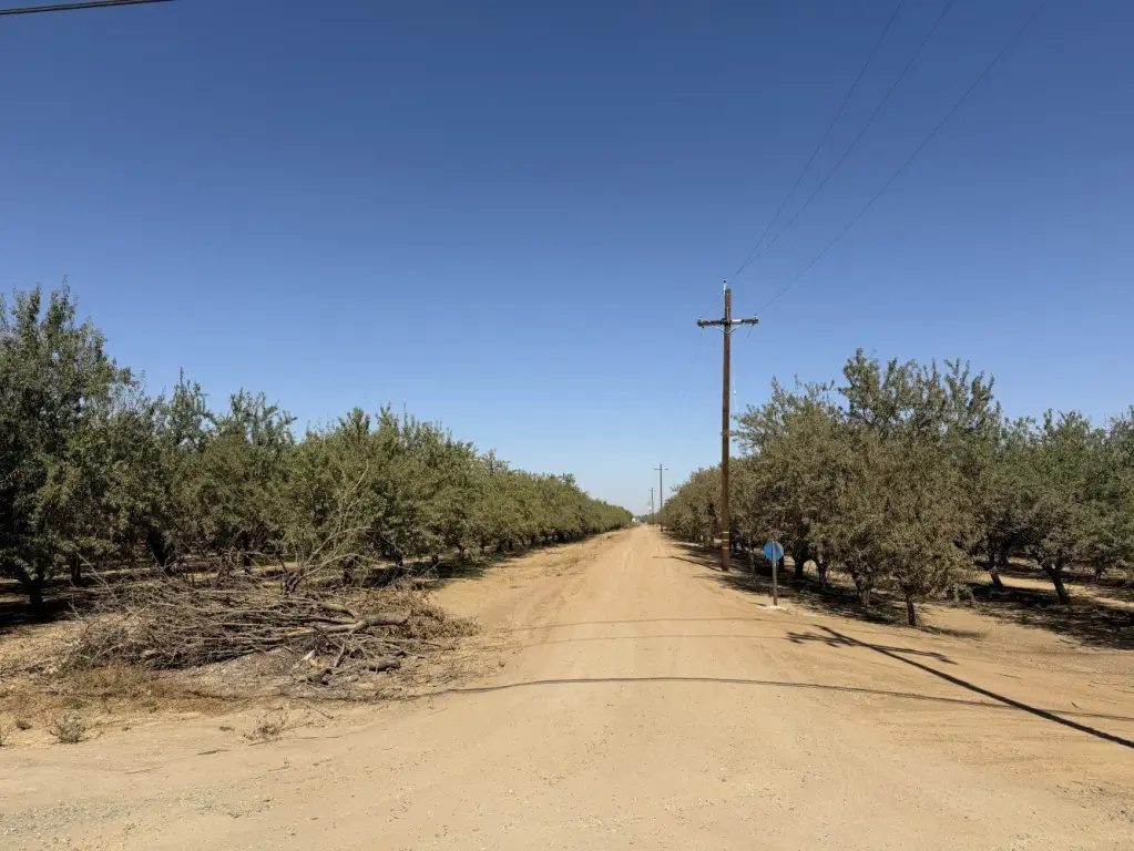 Picture 15