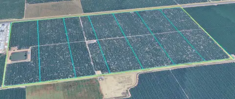 Picture of Farms at 6000-7372 E Childs Ave, Planada, CA