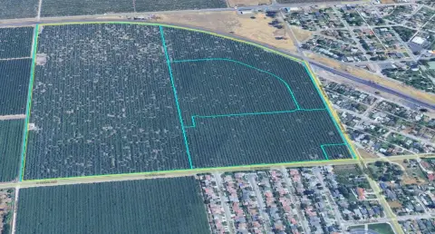 Almond Farm