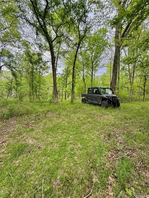 Picture 21