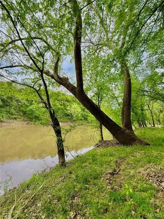 Picture 22