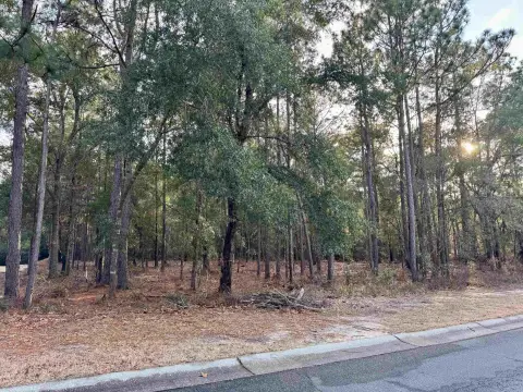 Residential Lot in Pawleys Island