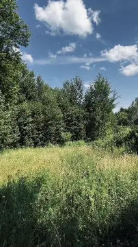 Picture of Residential land & home lots at 186 Pine Street, Troy, VT