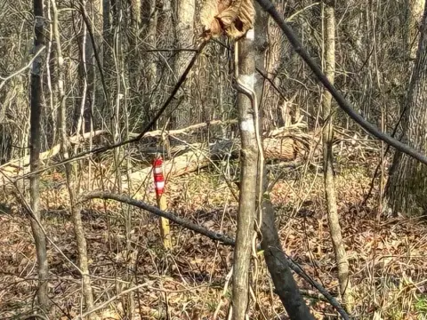 Unrestricted Land in Birchwood, TN