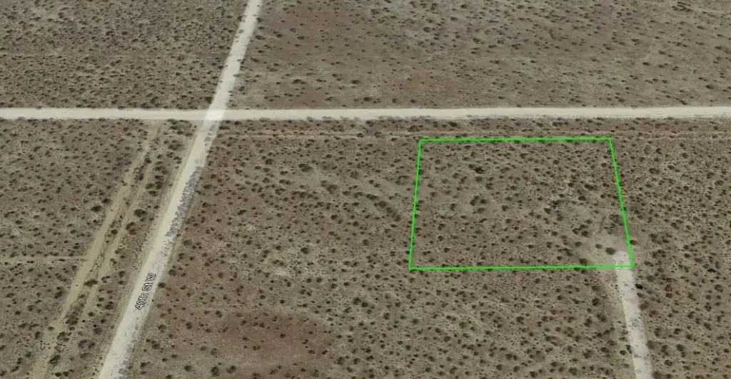 Picture 6