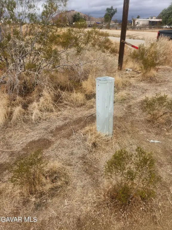 Picture 2