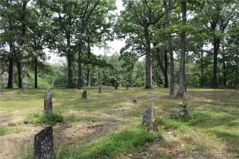 4.5 Acres Partially Cleared Land