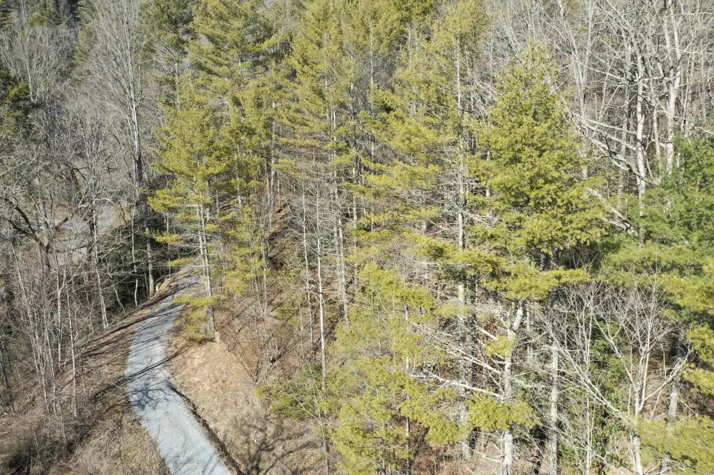 Picture 3
