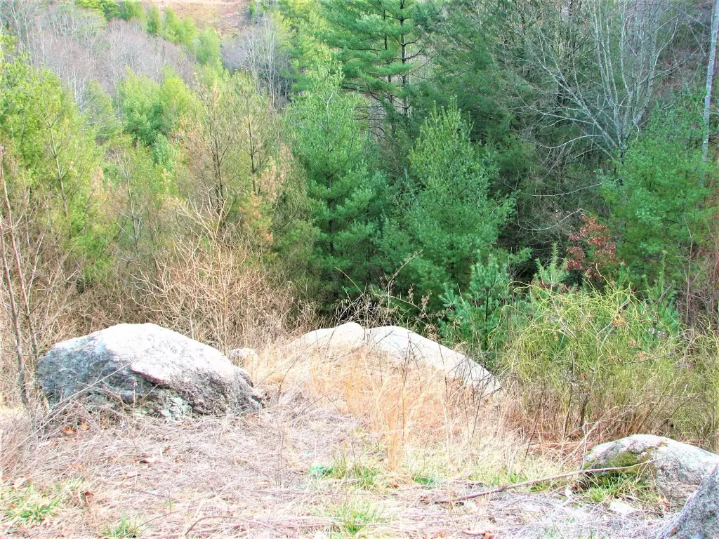 Picture 21