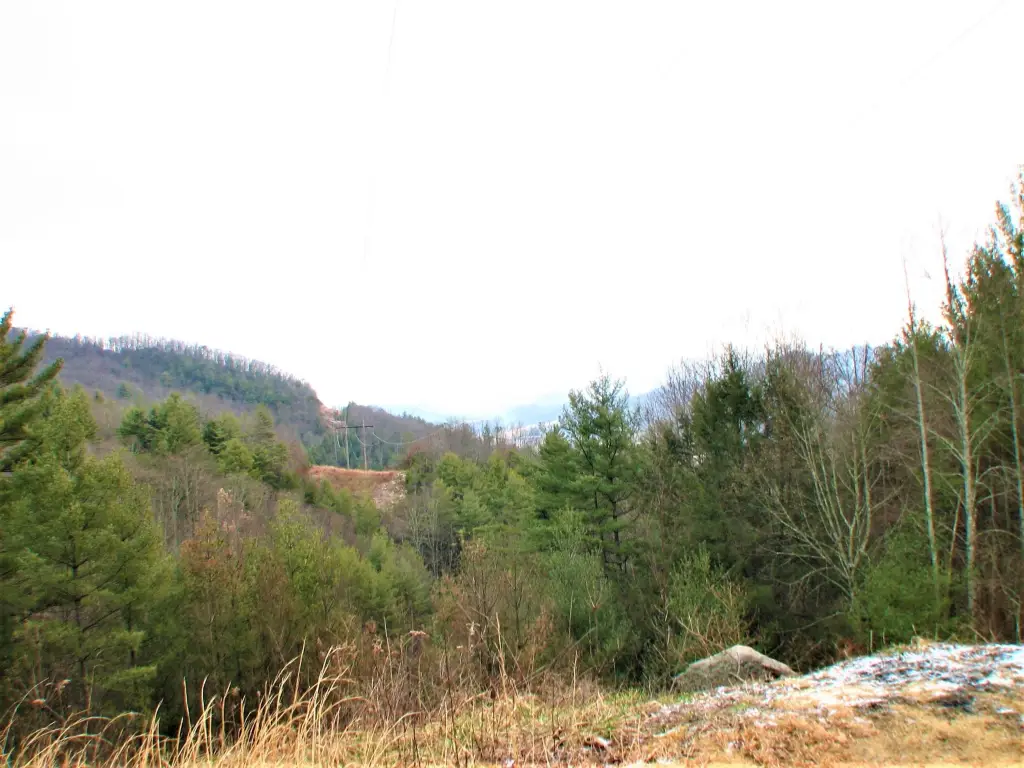 Picture 17