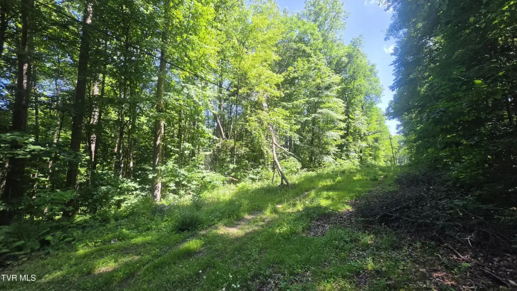 Picture 3