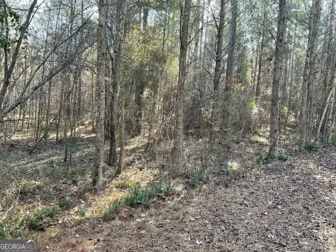 Monticello, GA Building Lot