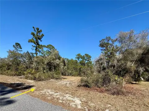 EUSTIS Homesite in Royal Trails
