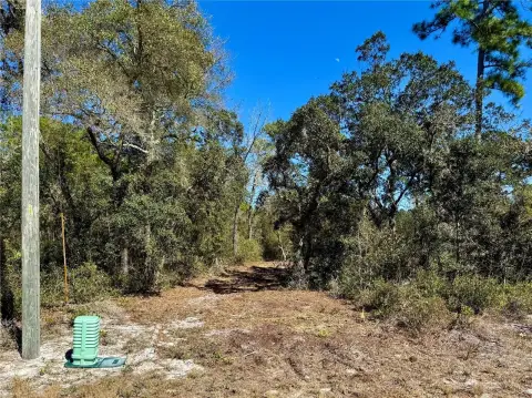 EUSTIS Homesite in Royal Trails