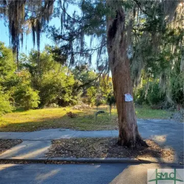 Savannah Land For Sale