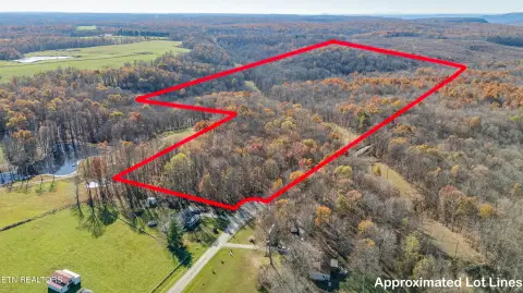 Secluded Wooded Acreage on Plateau