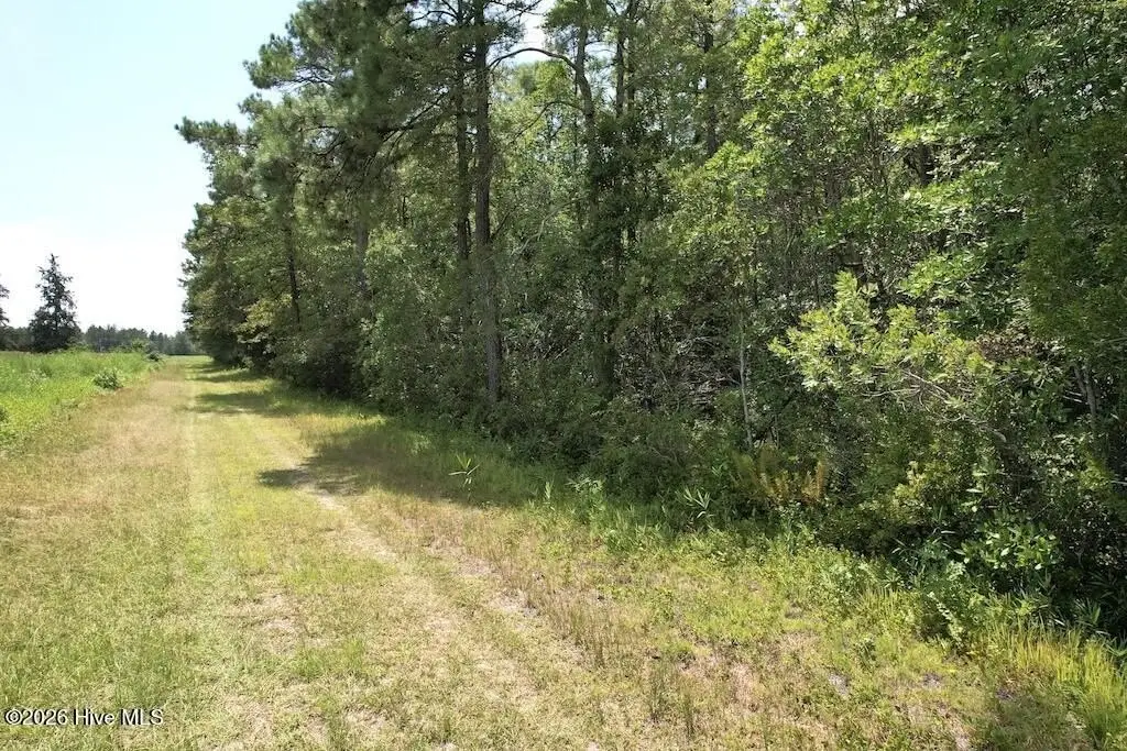 Picture 27