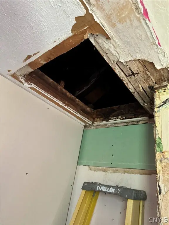 Picture 36