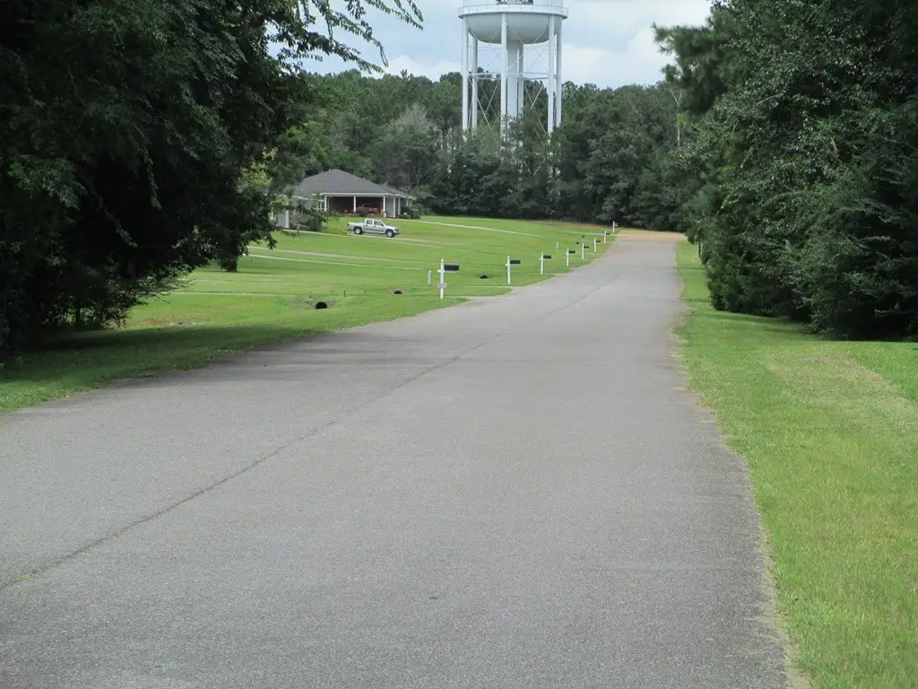 Picture 11