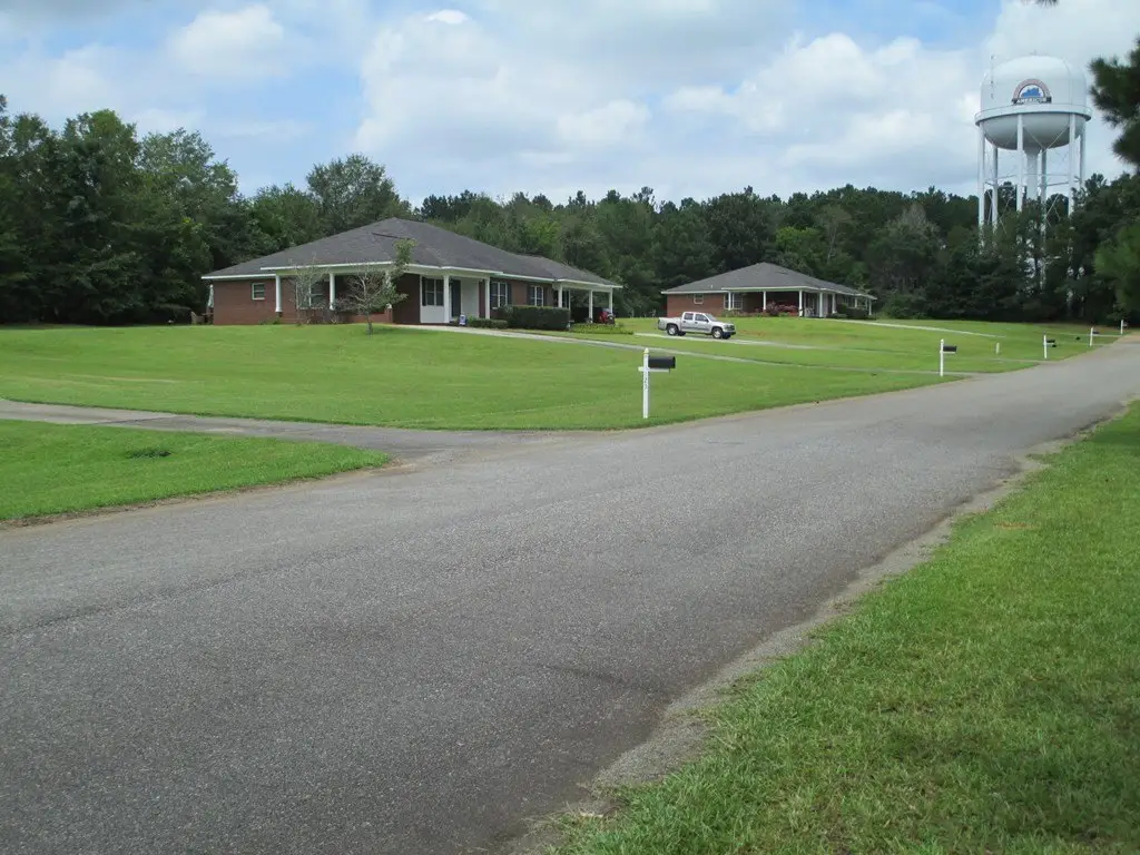 Picture 13
