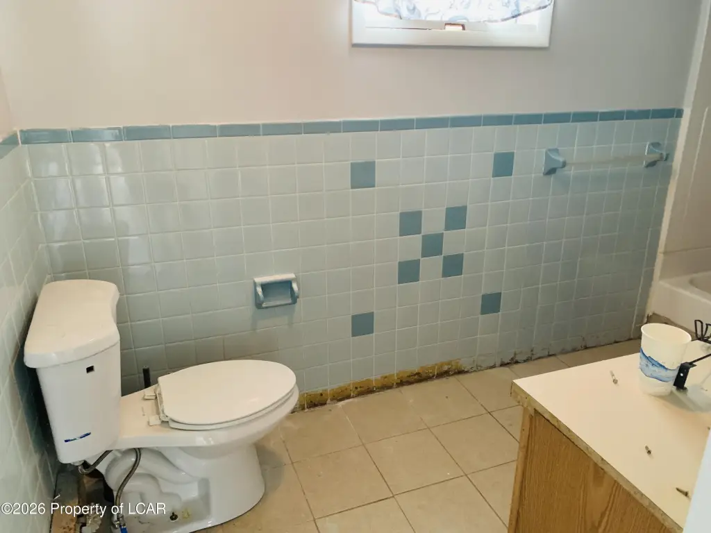Picture 18