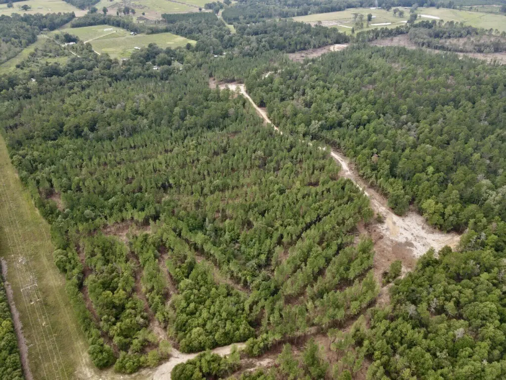 Picture 15
