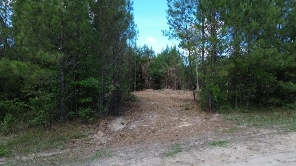 Picture 3