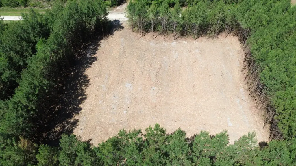 Picture 6