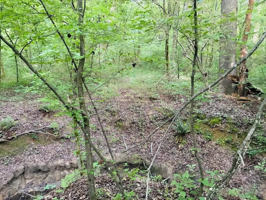 Picture 18
