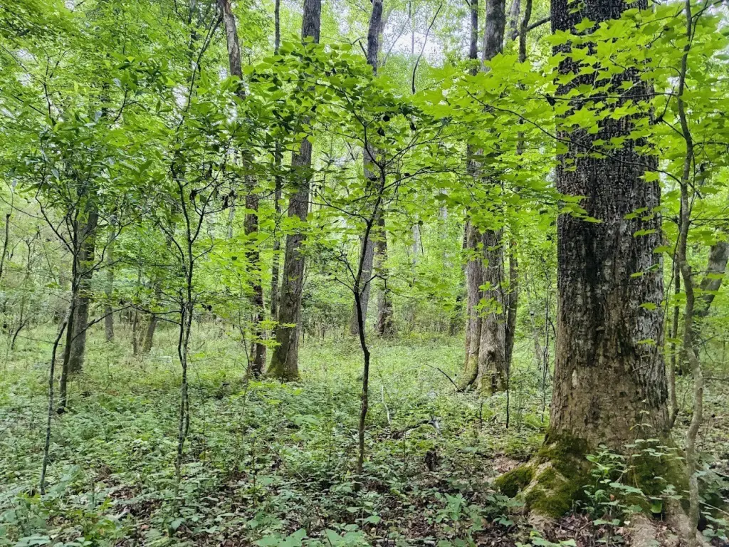 Picture 6