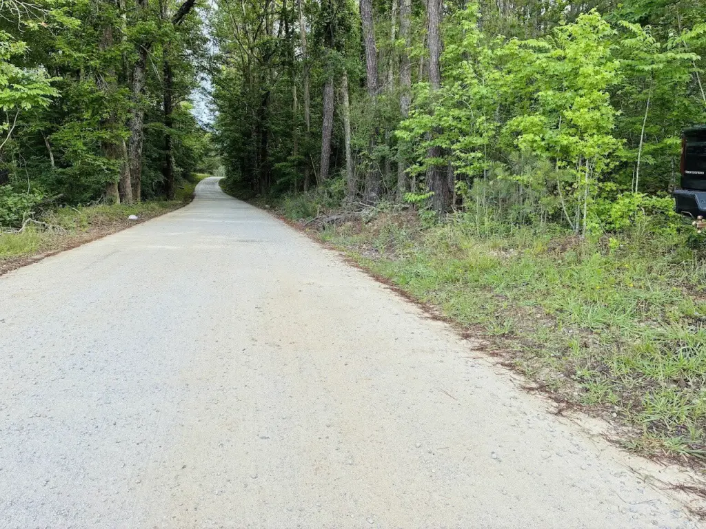 Picture 4
