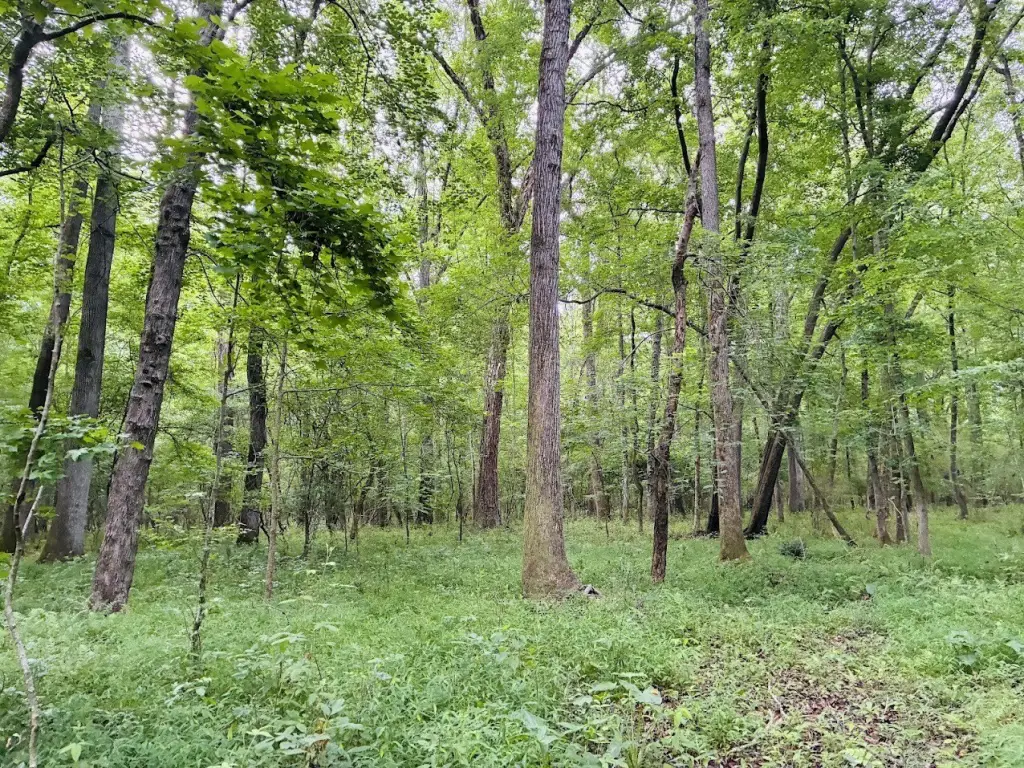 Picture 30