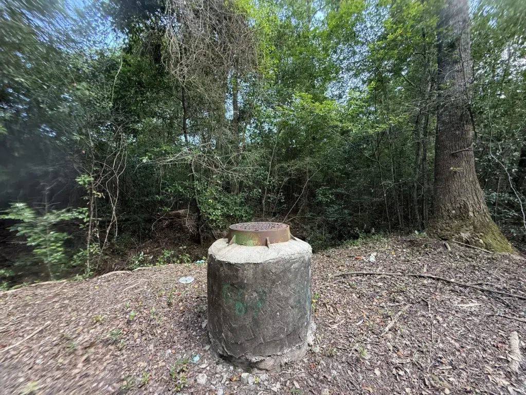 Picture 11