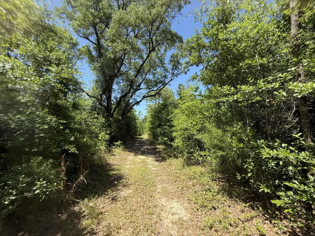 Picture 5