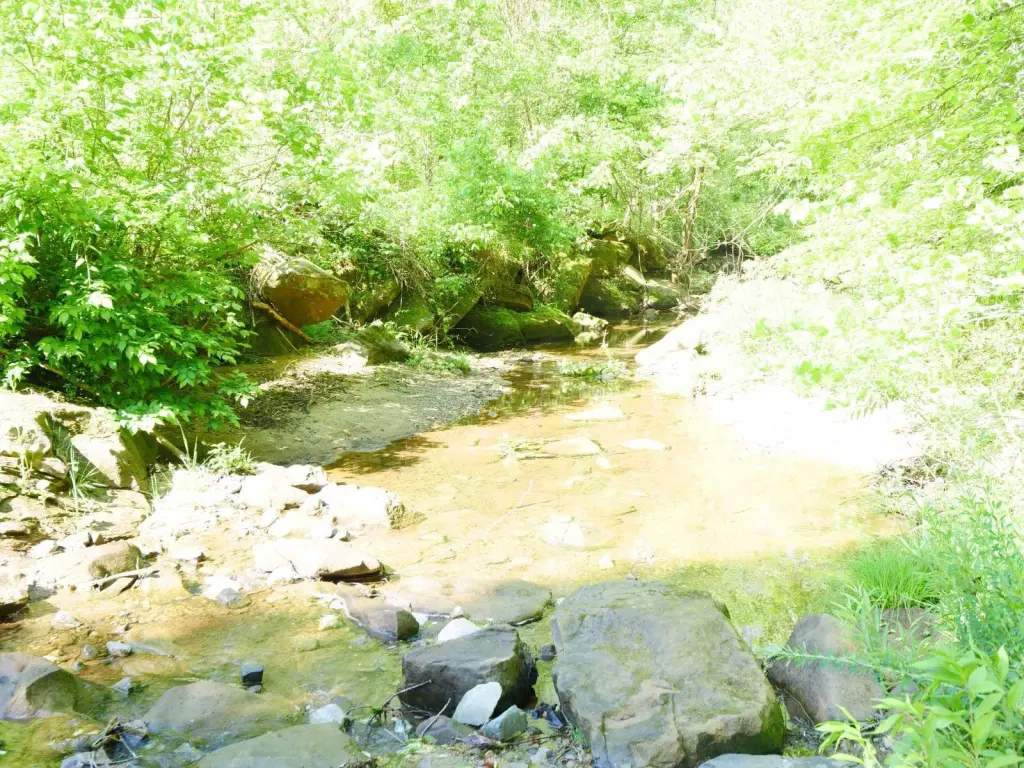 Picture 10