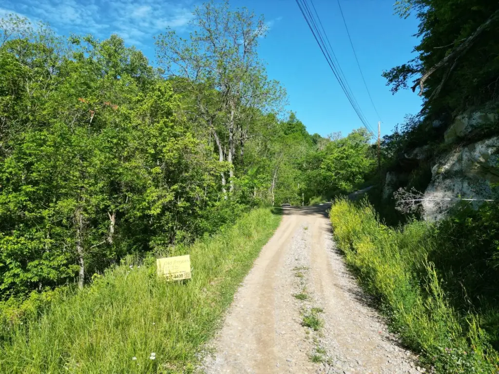 Picture 11