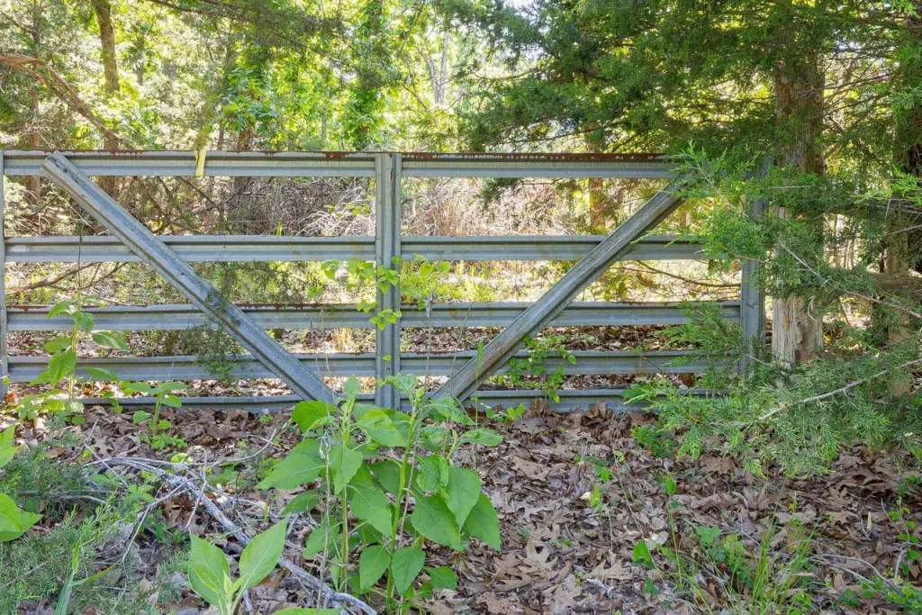 Picture 5