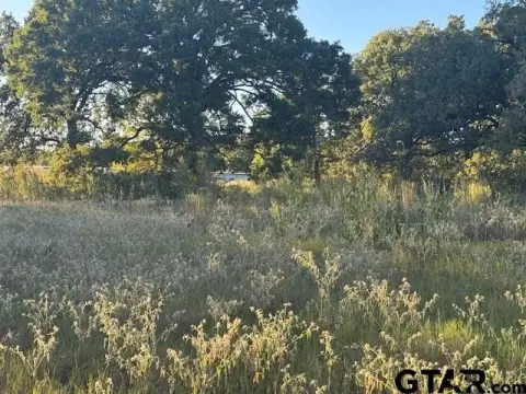 Development Opportunity Near Cedar Creek Lake