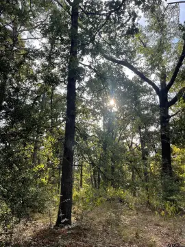 Wooded Lot in Gated Community