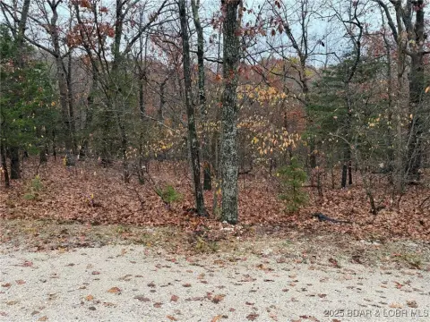 Four Seasons Homesite on Glendale