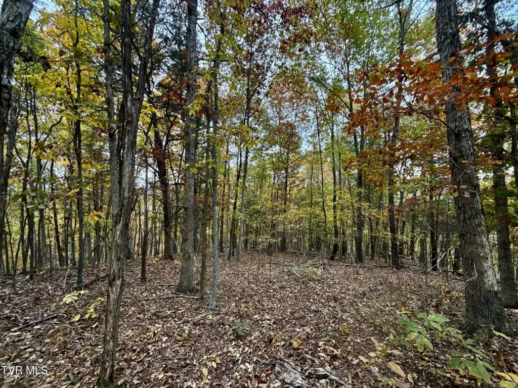 Picture 26