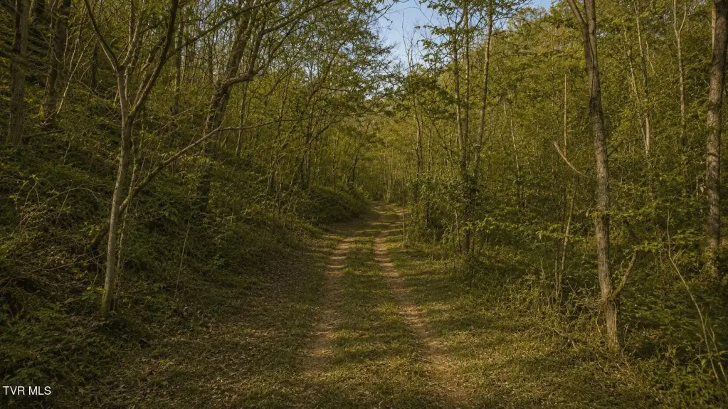 Picture 7