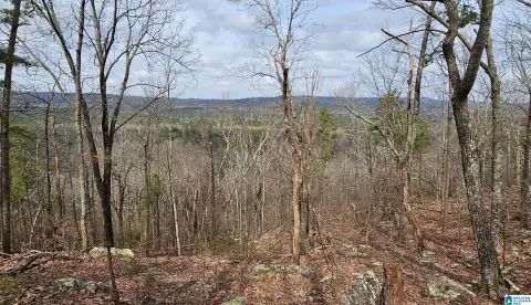 7.5 Acres in Stonegate Farms