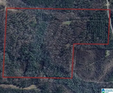 50 Acres Hunting Land, Hamilton